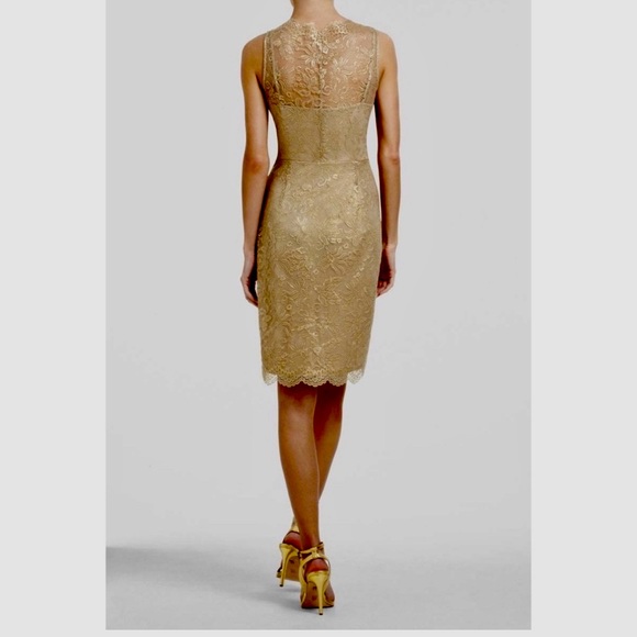 BCBG Max Azria Champagne Gold Lace Dress size 12-NWT - Picture 2 of 13